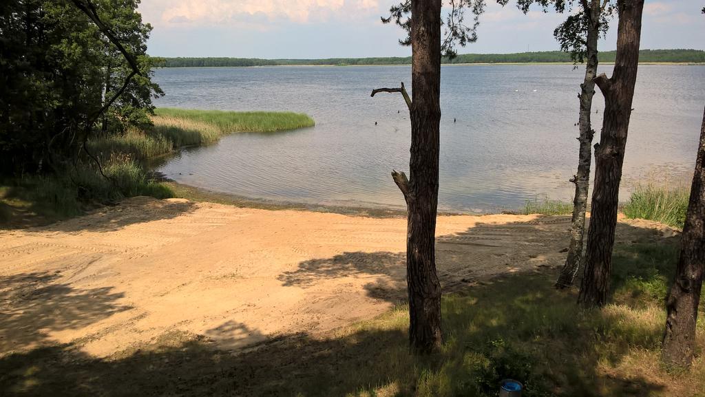 Apartament Słoneczna Radzyń Zewnętrze zdjęcie
