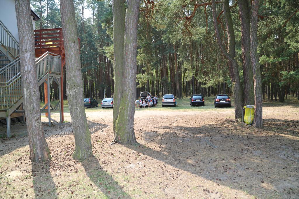 Apartament Słoneczna Radzyń Zewnętrze zdjęcie