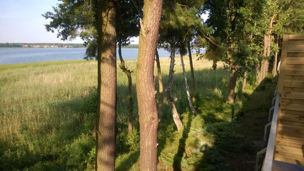 Apartament Słoneczna Radzyń Zewnętrze zdjęcie